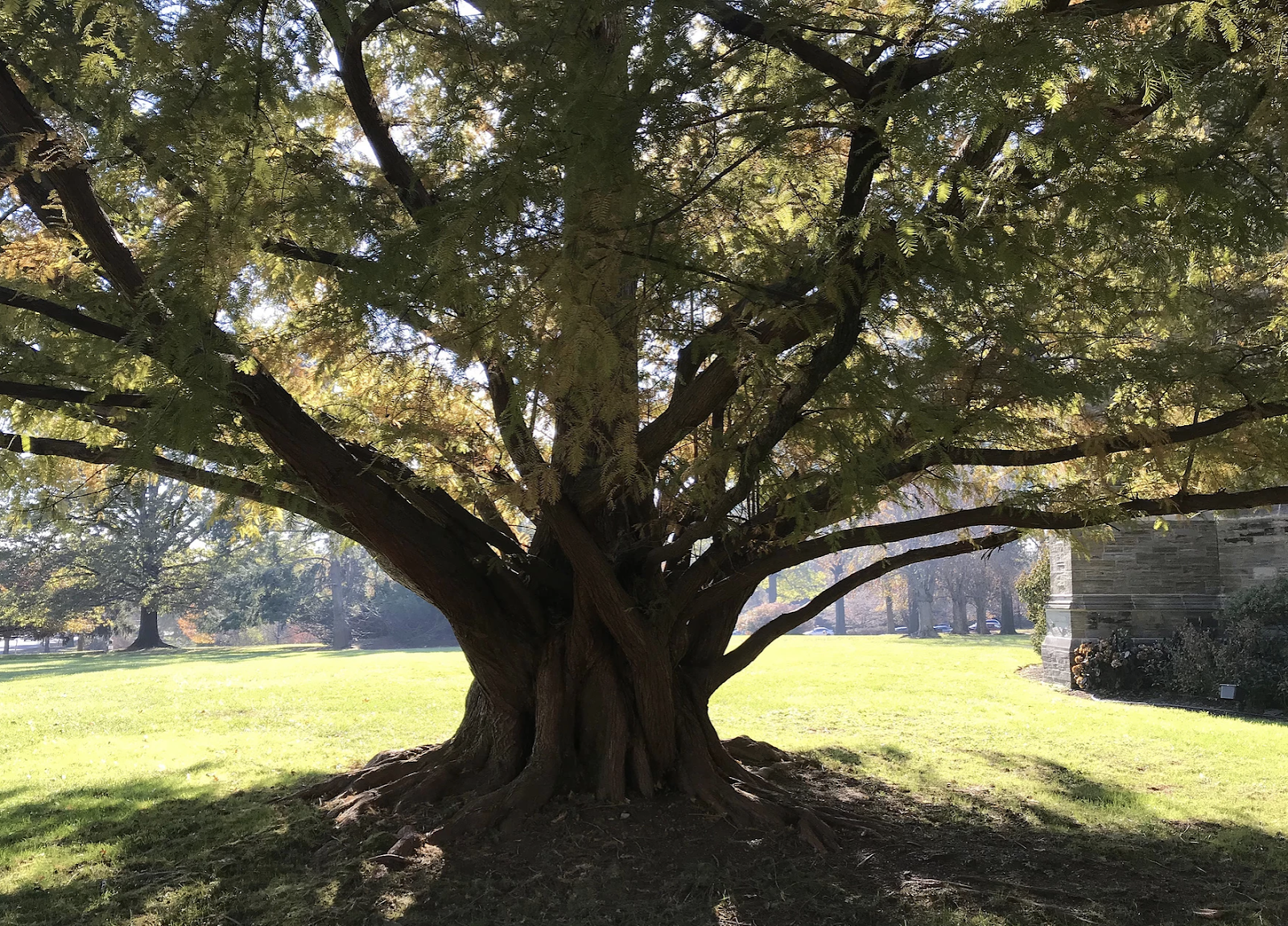 St. Mary's Episcopal Church Cathedral Road
