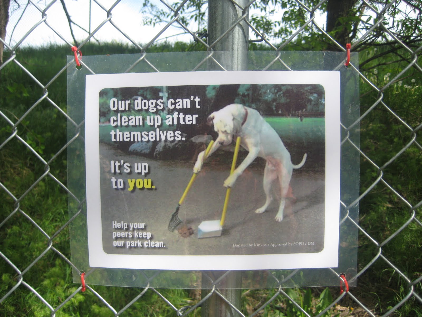 clipart of picking up dog poop - photo #45
