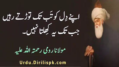 Rumi Quotes in Urdu