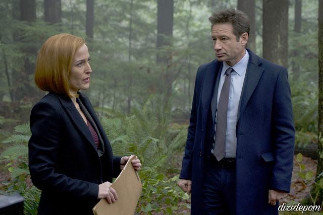 The X-Files Dizisi İndir-İzle The X-Files Dizisi İndir-İzle