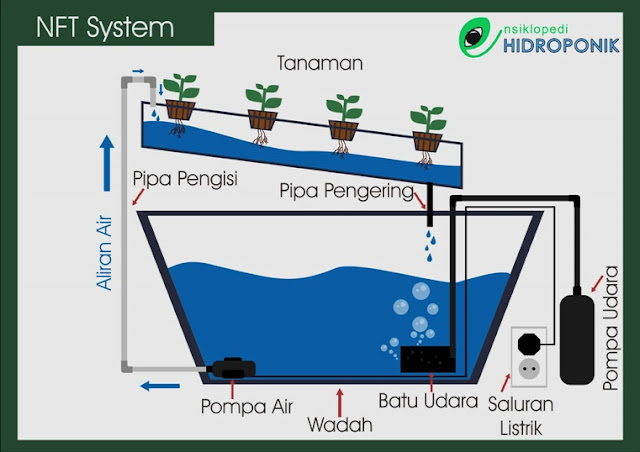image takaran nutrisi hidroponik per liter