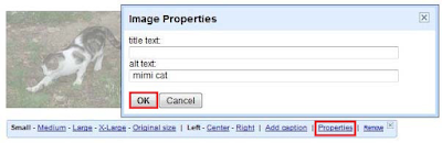 Optimize-blogger-Images