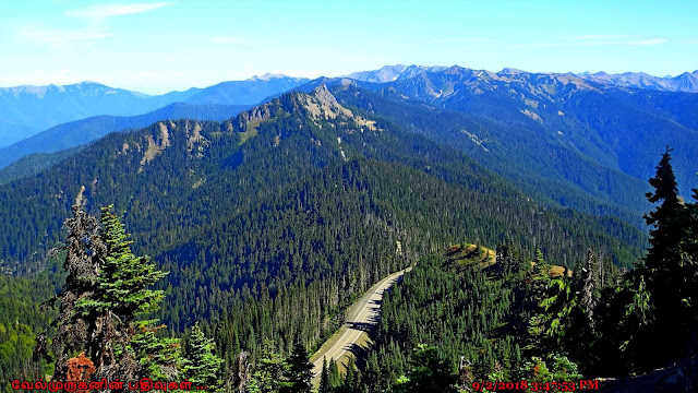 Hurricane Ridge Road Scenic Drive