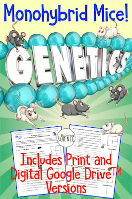 Amy Brown Science: Free Monohybrid Genetics Practice Problem Worksheet