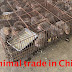 Bloomberg: The World Health Organization links the emergence of the Corona virus to the animal trade in China