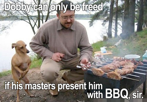 Dobby Can Only Be Freed, If His Masters Present Him With BBQ, Sir