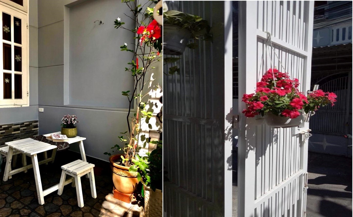 Houseplants Vũng Tàu homestay – Nơi nuôi dưỡng xúc cảm cho chuyến đi