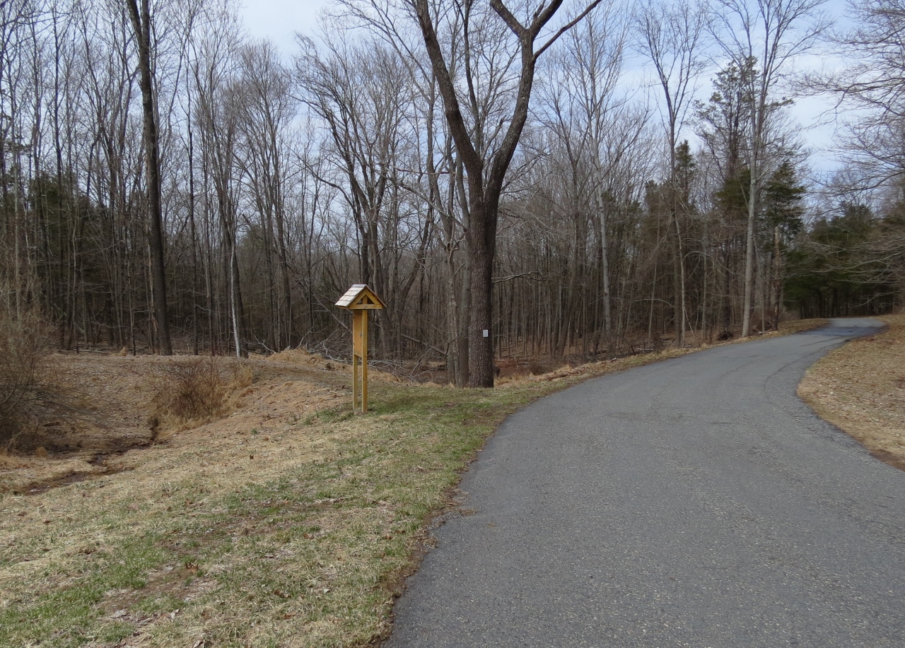Gone Hikin' Horseshoe Bend Park, NJ North