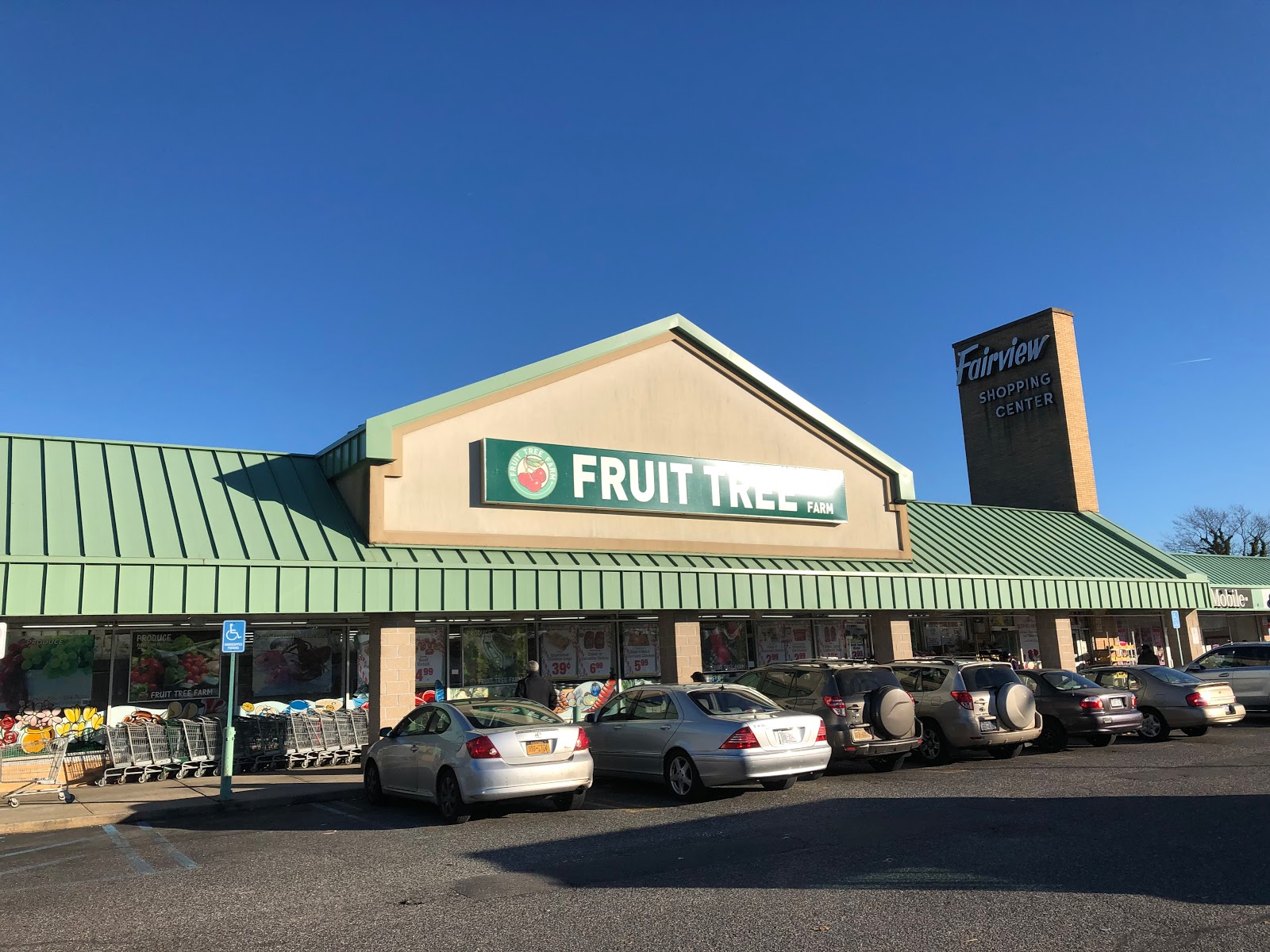 TOUR Fruit Tree Farm Baldwin, NY