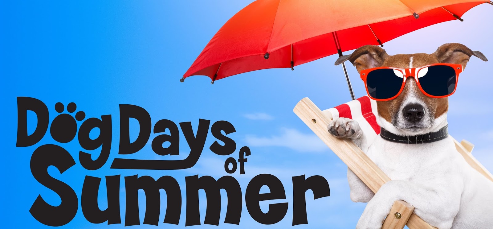 The Dog Days Of Summer