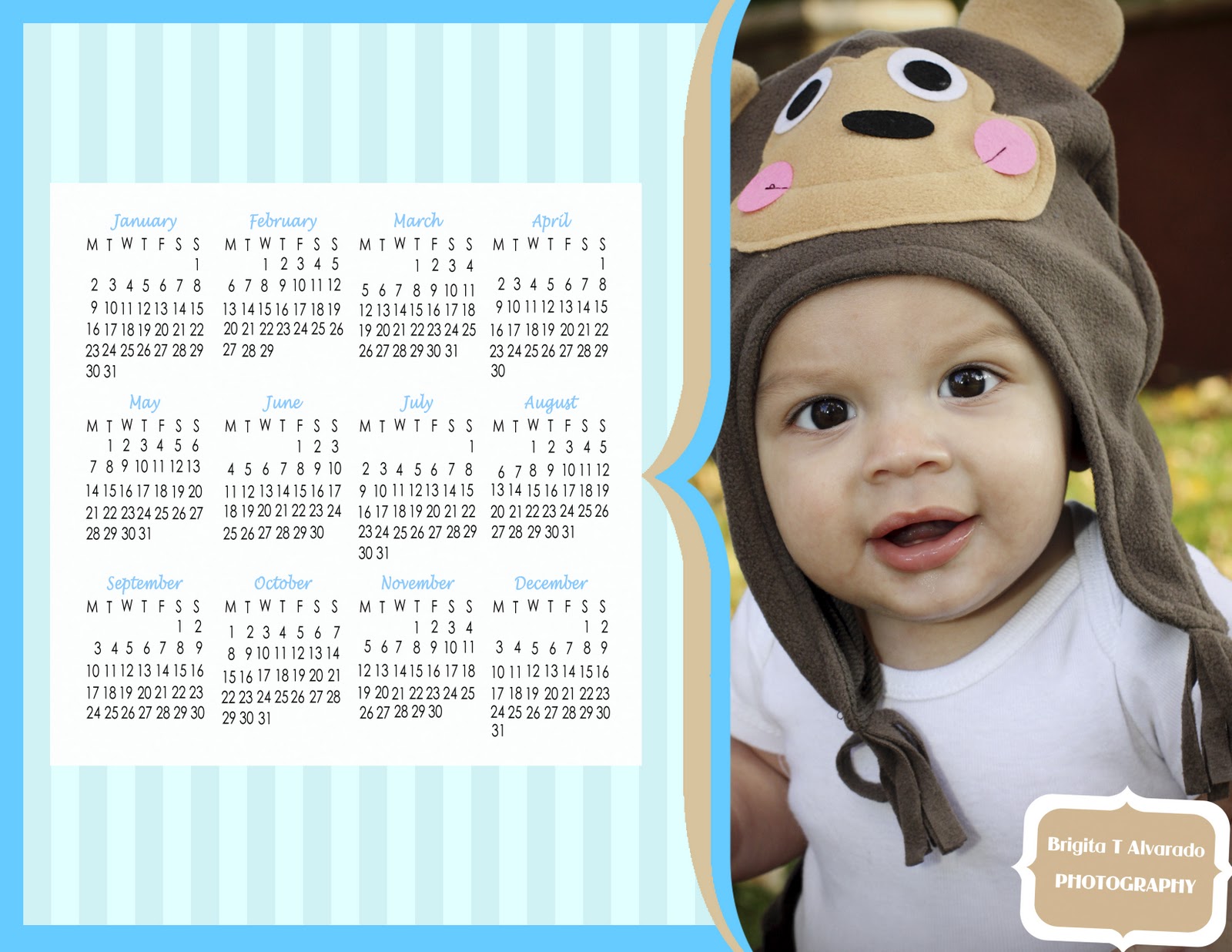 Let Me Help You ROCK YOUR CAMERA CALENDARS 2012 let-me-help-you-rock-your-camera-calendars-2012