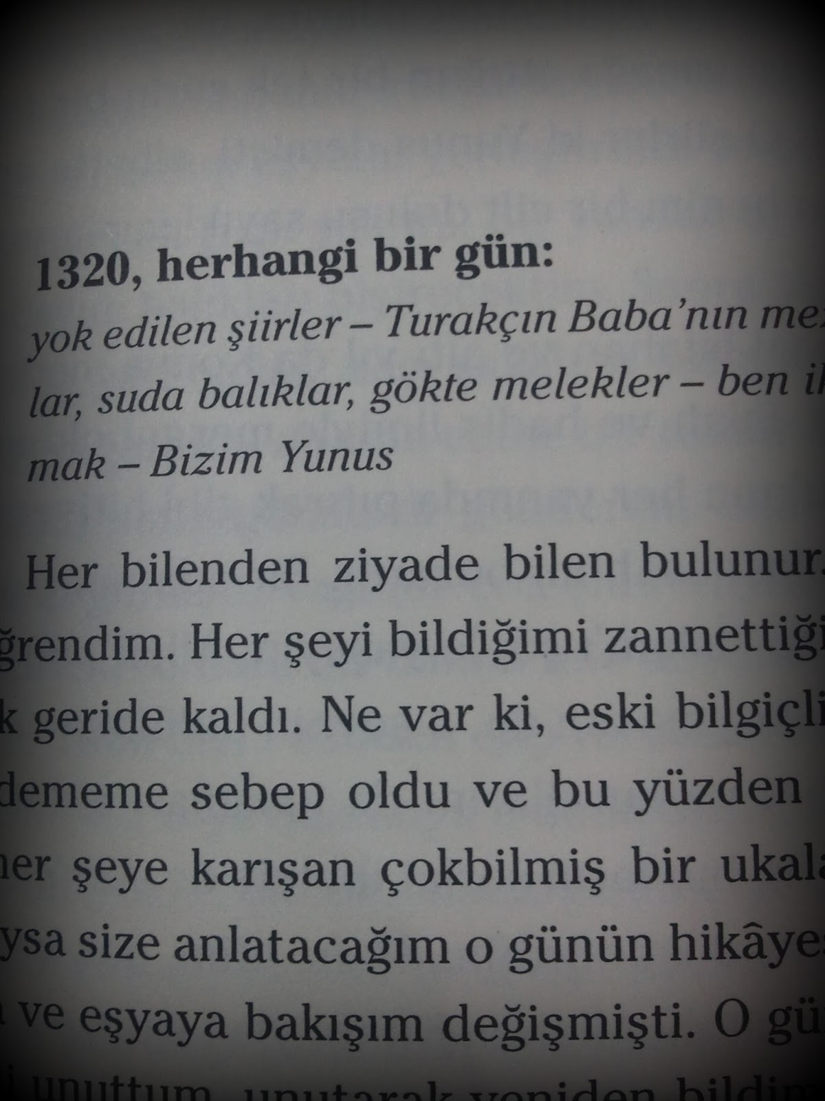 Kelebeğin Hisleri: Ocak 2013