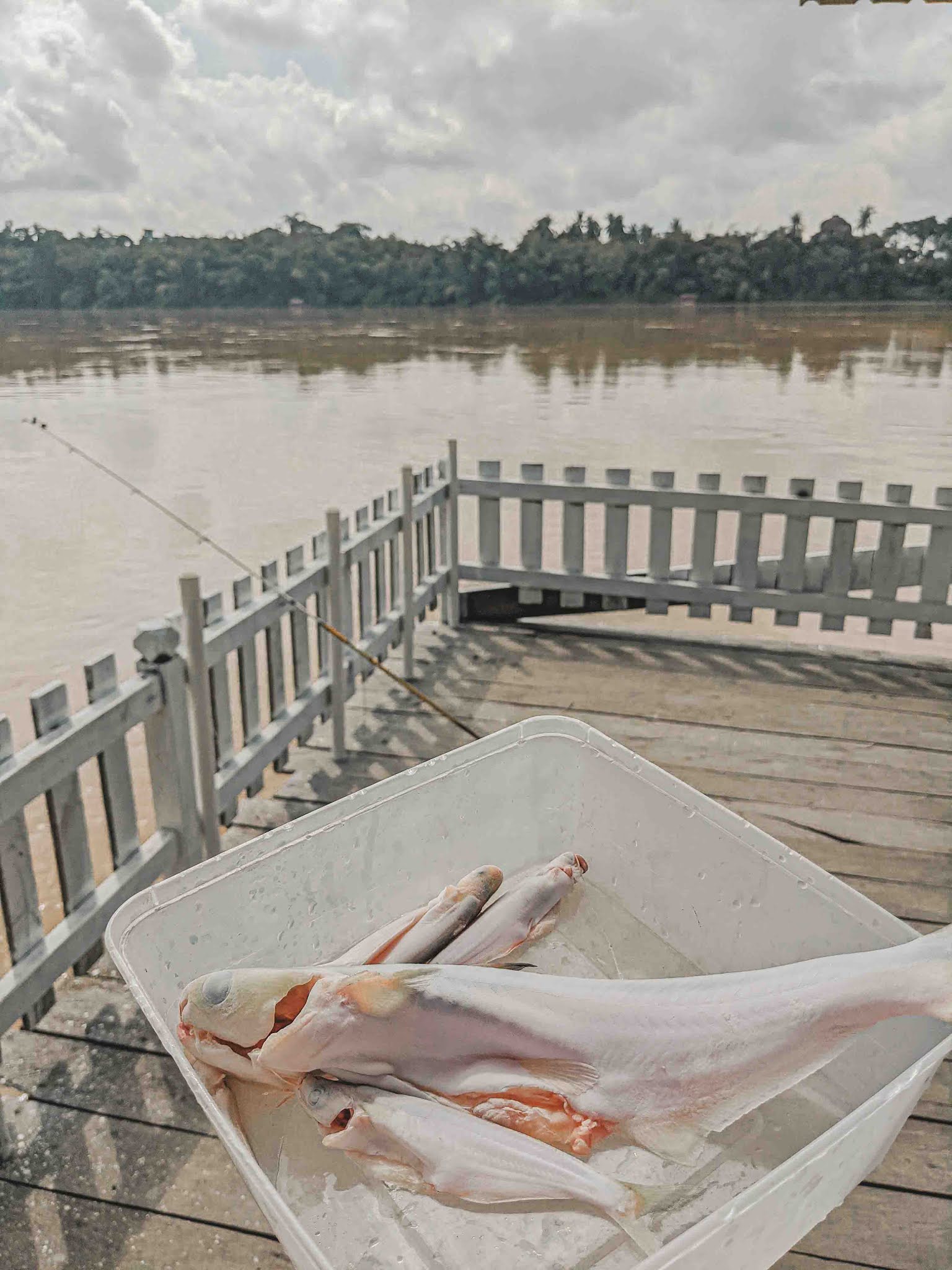 Penginapan di Rumah Rakit Lubuk Batu Tampoi Chenor, Pahang