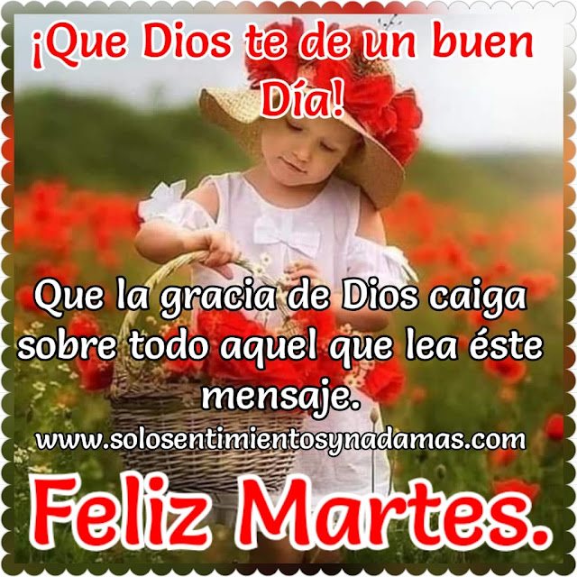 Feliz martes.