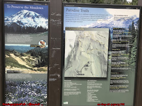 Mount Rainier Paradise Trails