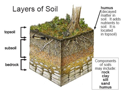 living earth soil living earth soil