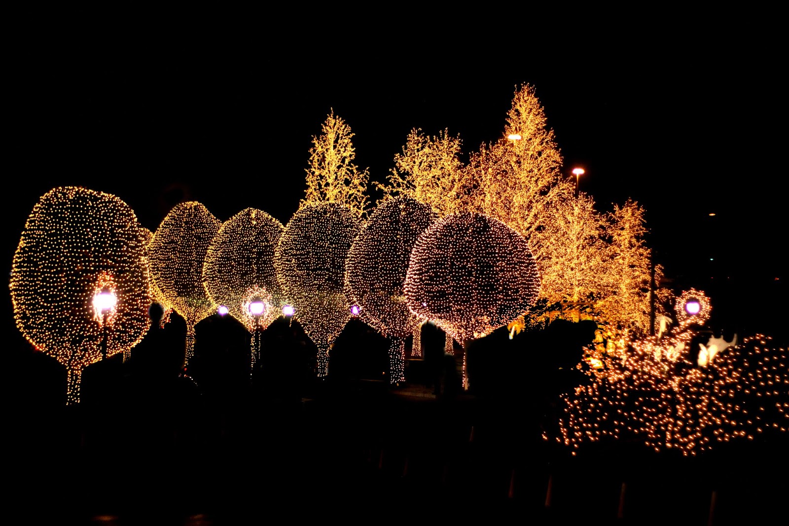 string lights psd album ly bit templates photoshop link
