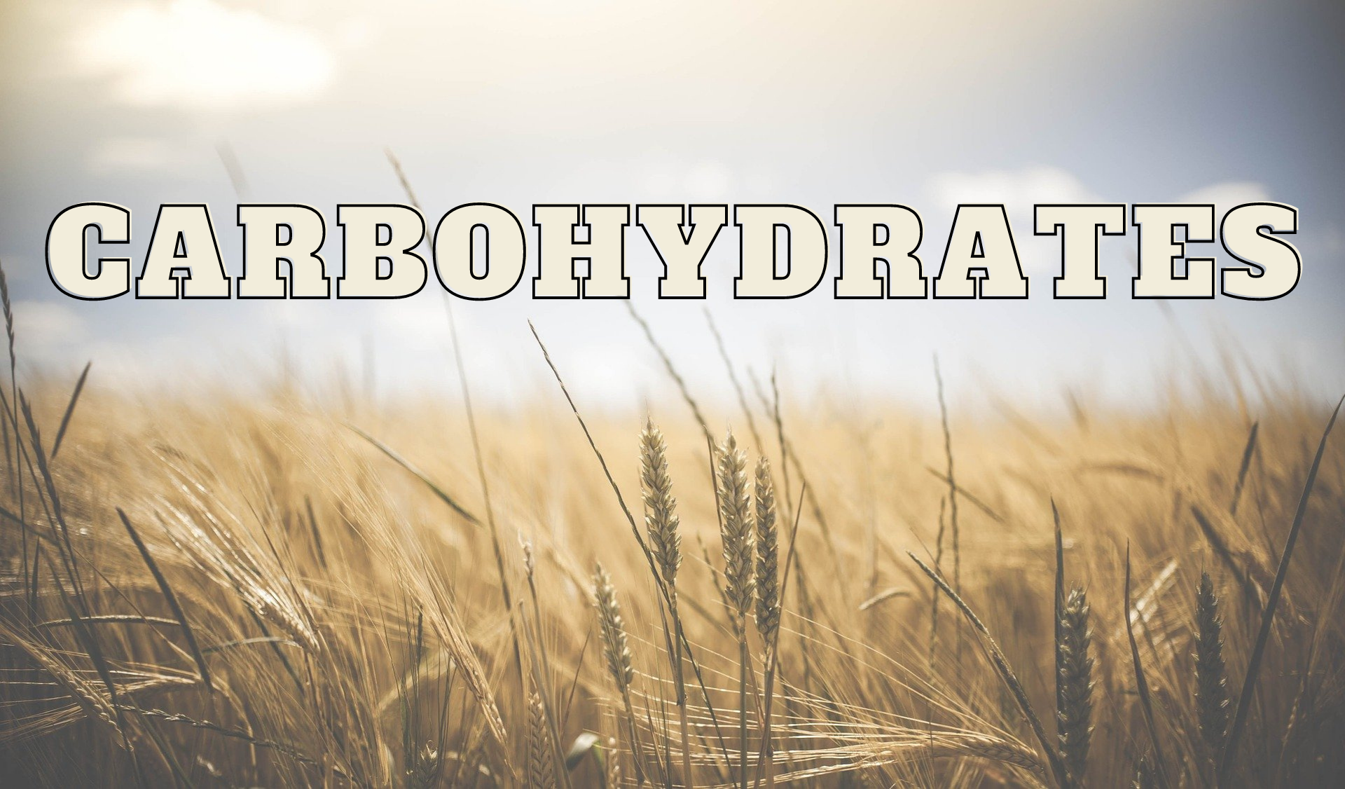 CHAPTER 1 BIOMOLECULES PART 1 CARBOHYDRATES