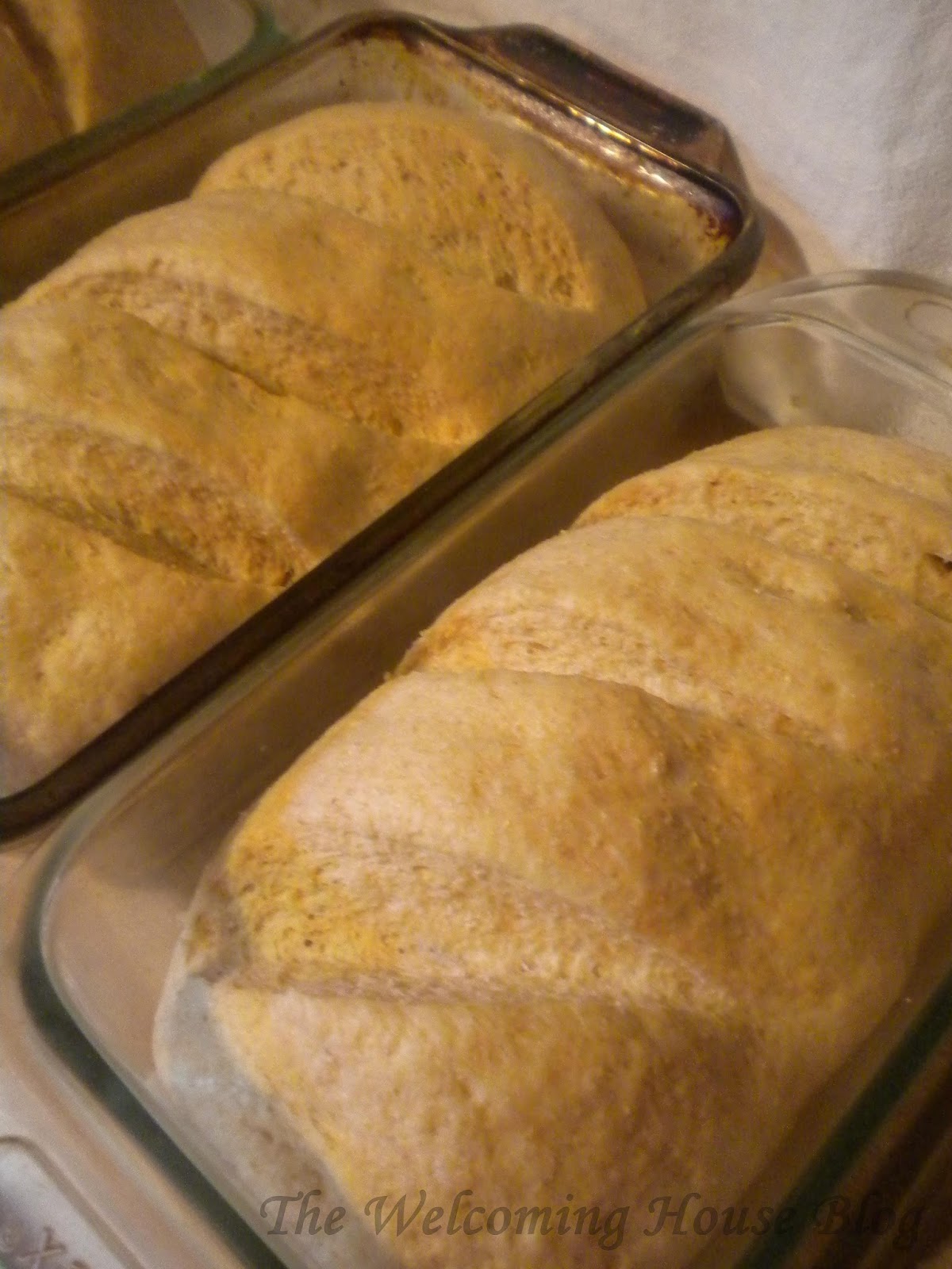 The Welcoming House: Back to the Basics---How one loaf of bread dough ...