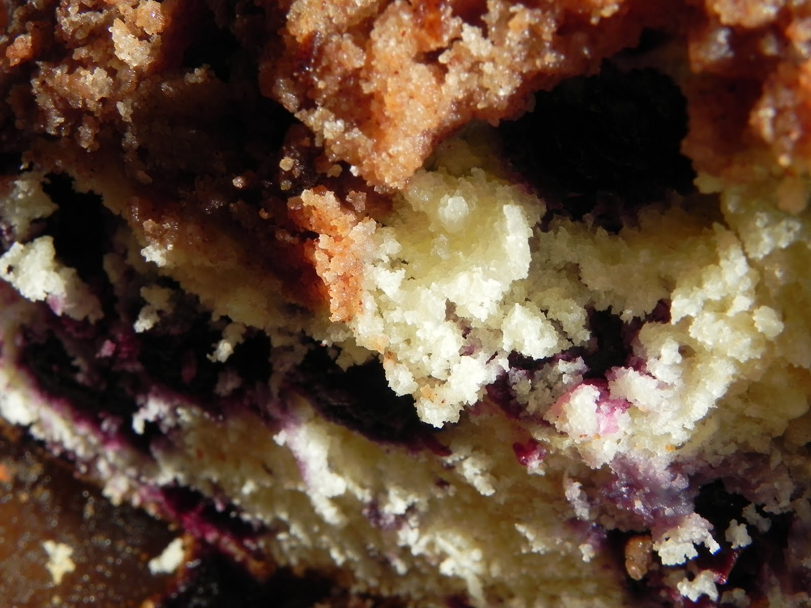 Flexitarian Writer Maine Blueberry Crunch Cake