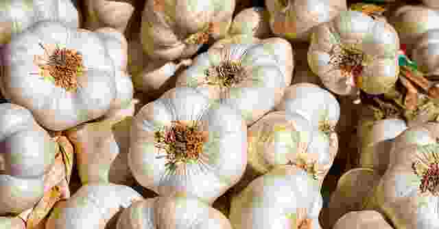 Garlic | vegetables name in hindi and english