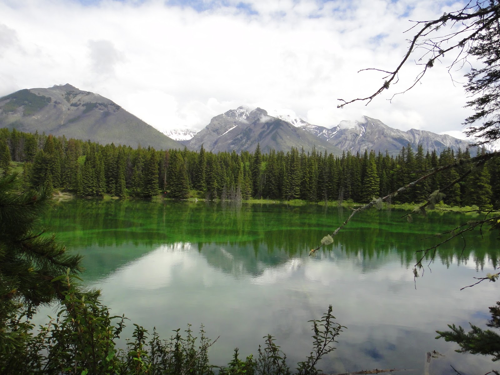 Get Me Outdoors Johnson Lake