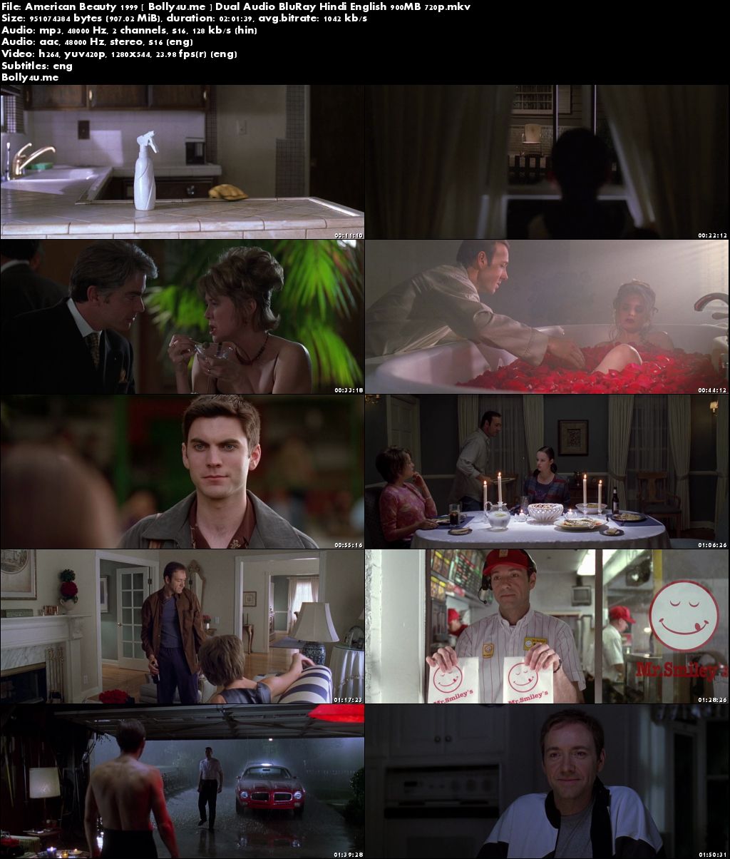 American Beauty 1999 BRRip 350MB Hindi Dual Audio 480p Download