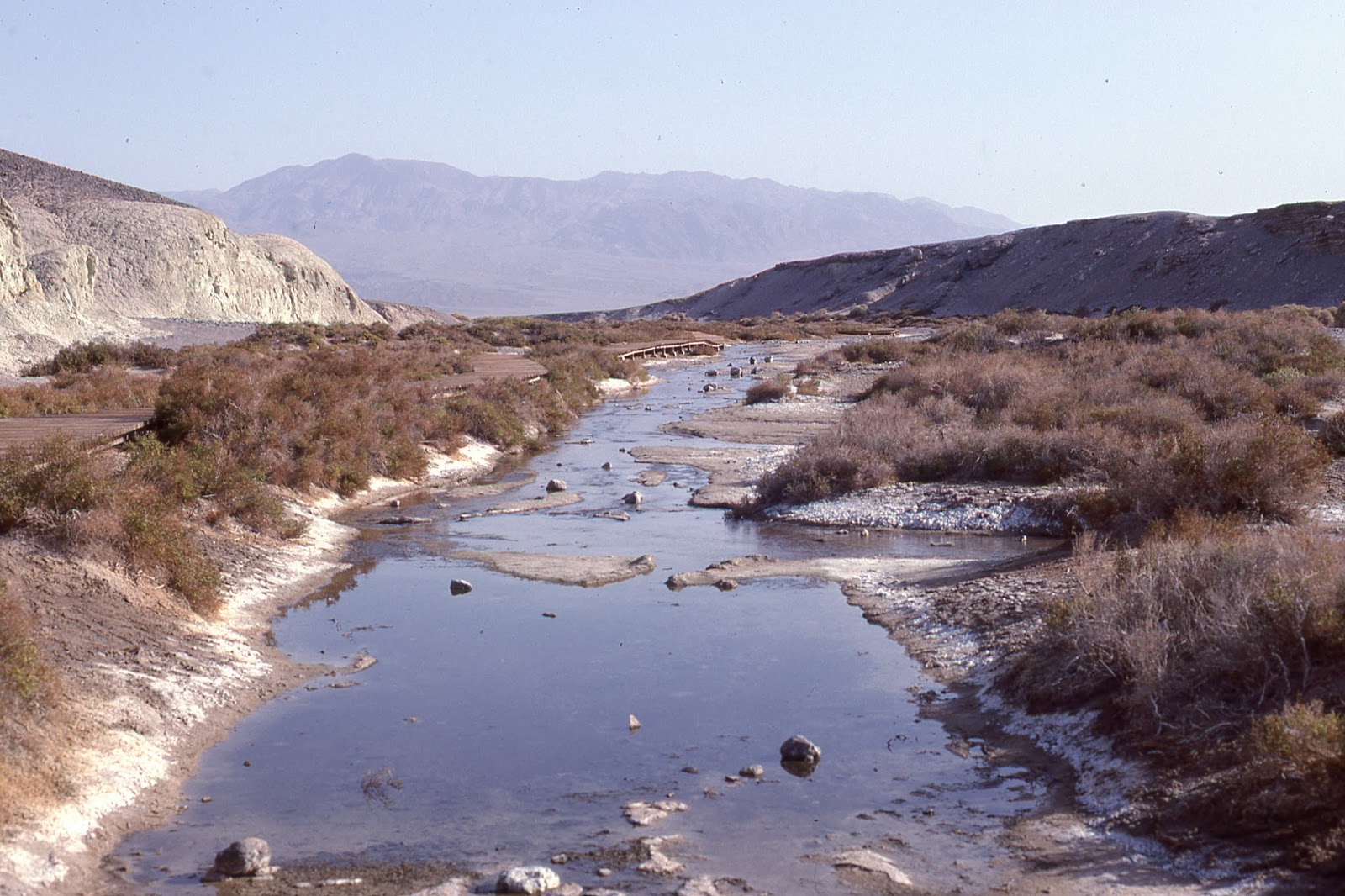 Hidden Springs: March 2014