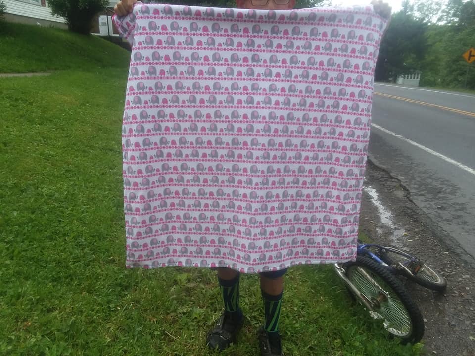 elephant minky blanket