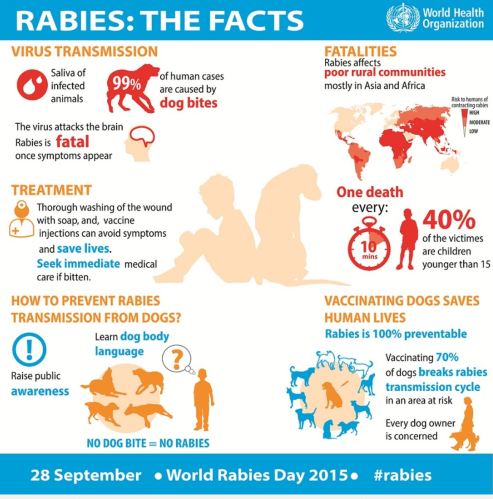 Info: Penyakit Anjing Gila atau Rabies - Pengedar Shaklee Taiping