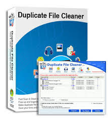 Duplicate File Detective v6.0.65 Professional Editionb Portable  00000000