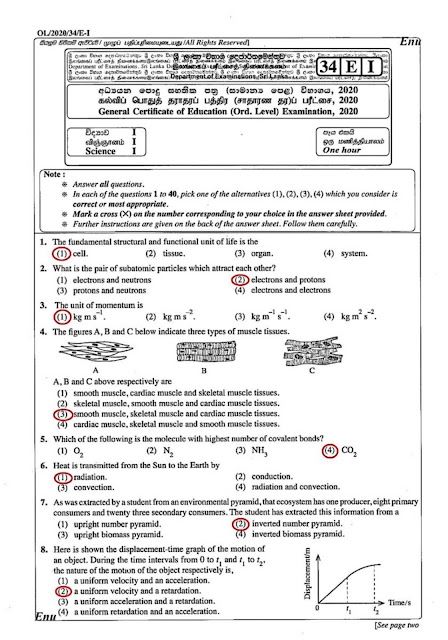 o level essay questions 2021