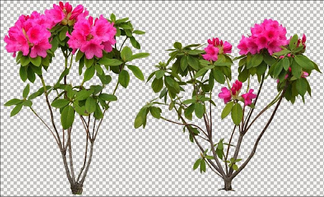 flower trees photoshop