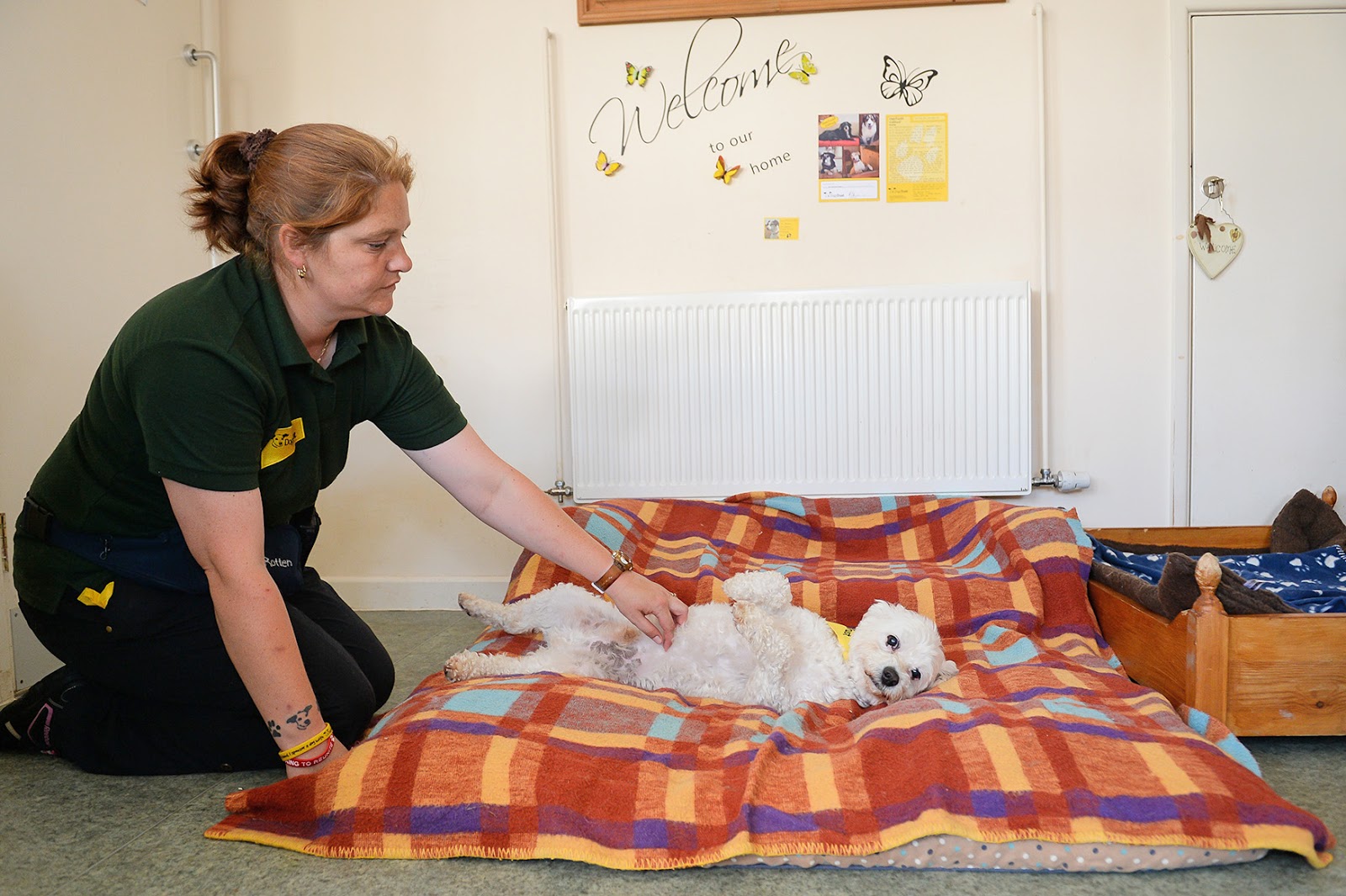 Hubble & Hattie Oakfield Life begins at 14!