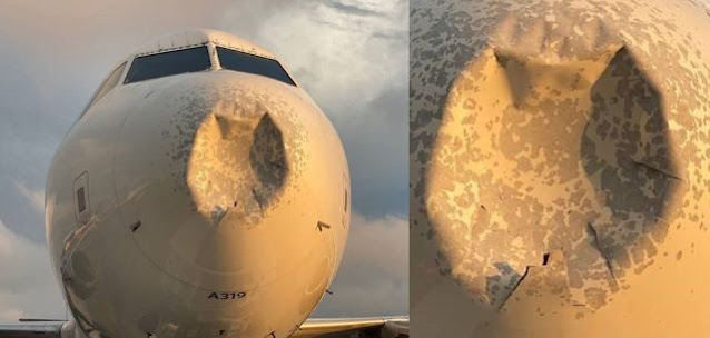 Delta Flight hit by mysterious object damaging the nose cone  Delta-flight-nose%2Bcone-hit-mysterious-object%2B%25281%2529
