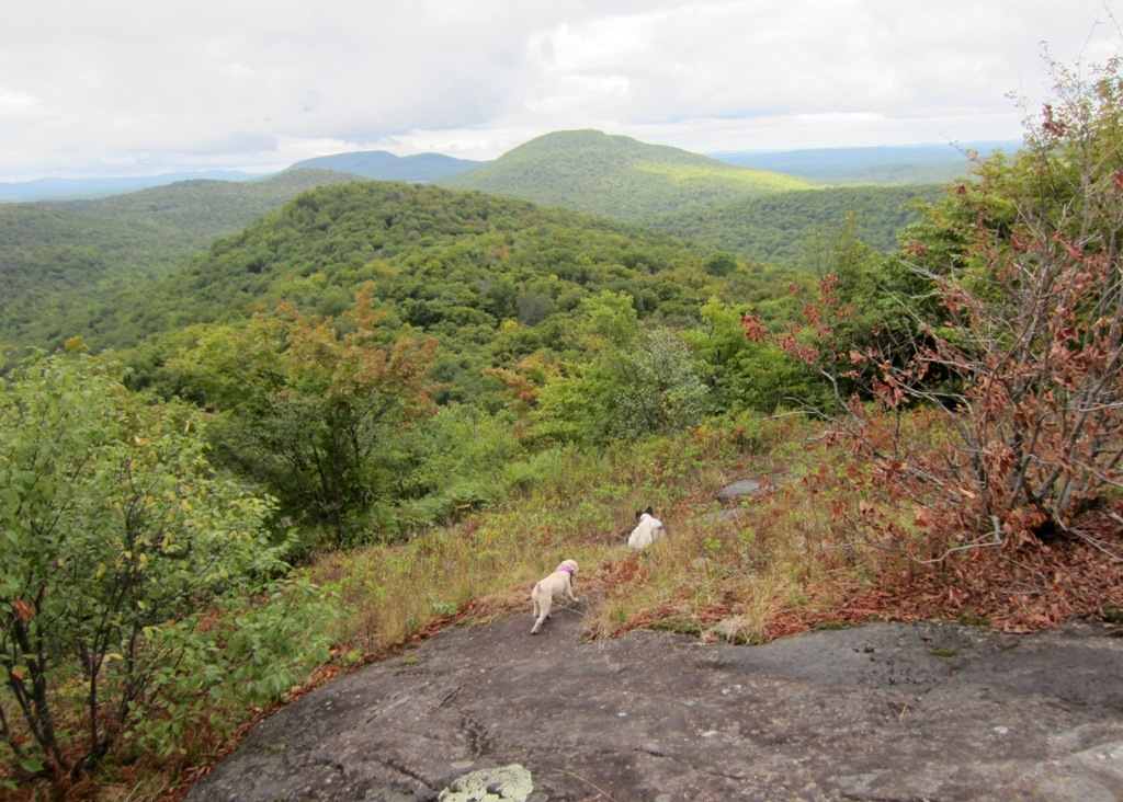 Windswept Adventure Chapter 2 Discovering Floodwood Mountain