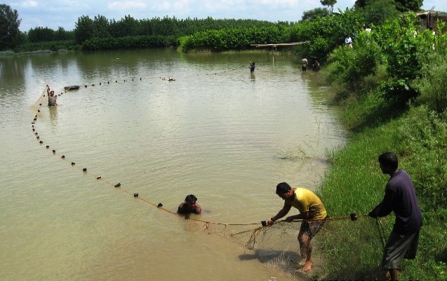 अवरुध्द पाण्यात मत्स्यसंवर्धन Aquaculture in blocked waters