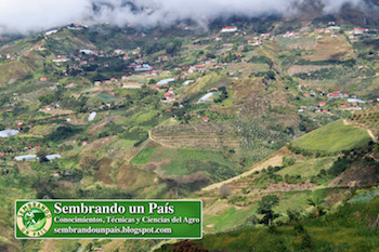 paisaje de El Jarillo