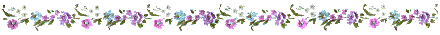 barraflor5.gif