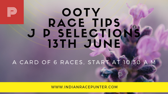 india race tips by indianracepunter, Trackeagle, racingpulse