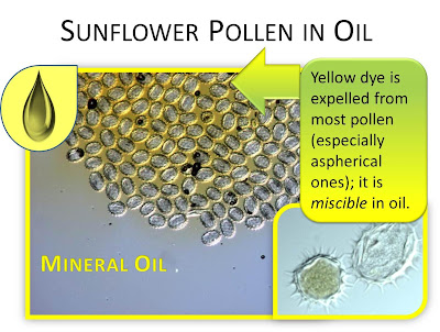 sunflower pollen in oil