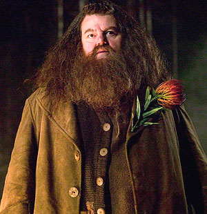 Hagrid Harry Potter Gay Porn | Sex Pictures Pass