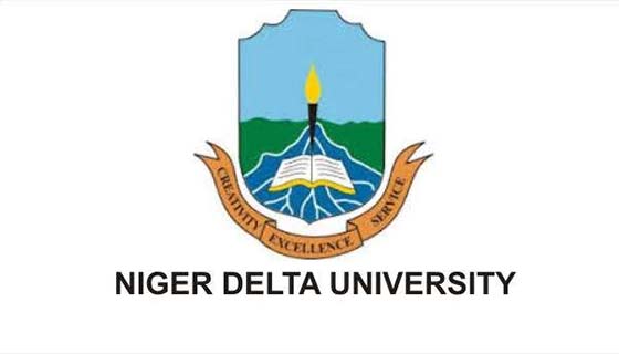 Admission Requirements: How to Gain Admission into NDU