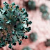Estudo mostra onde o risco de contágio pelo coronavírus é maior
