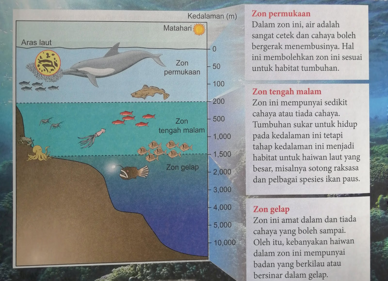 Maksud hidrosfera Hidrosfer