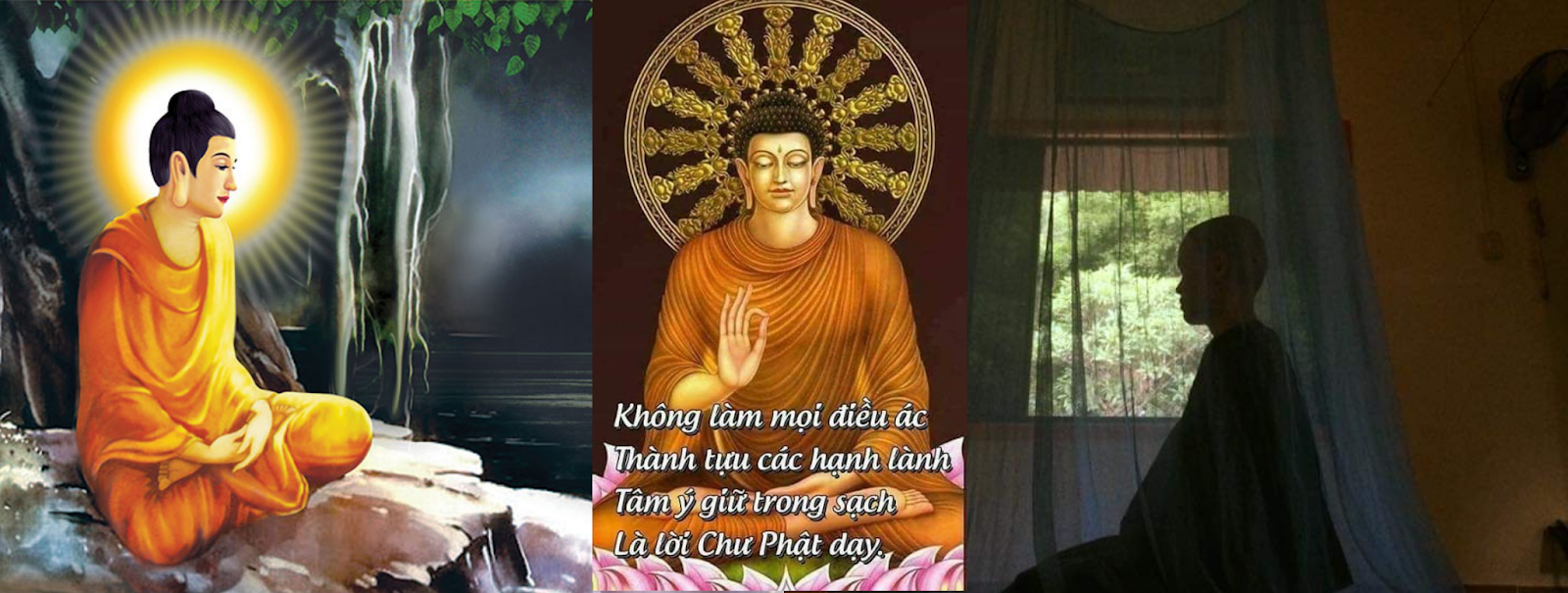 Những ngày chẳng muốn làm gì chẳng muốn ăn... quán tưởng sự chết - Tu nữ Tịnh Tín www.budsas.asia - Những ngày chẳng muốn làm gì chẳng muốn ăn... quán tưởng sự chết - Tu nữ Tịnh Tín