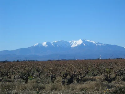 PEDRO III DESAFIÓ A UN DRAGÓN, SIGLO XIII, Canigó