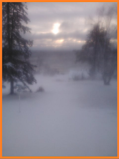 Lake view through the trees, obscured by a cloud of snow blowing through the air.