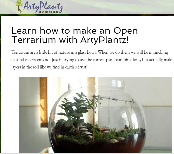 Pebbles Terrarium Blog Terrarium Sale Classes in Bangalore
