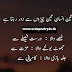 Teen Insaan 3 chezon se Door Rhtah hai - Urdu Quotes